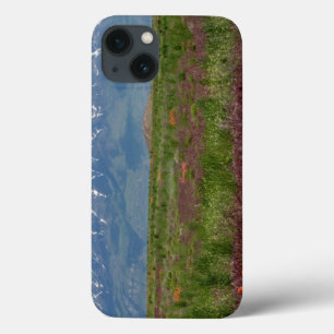 Coques Pour iPhone Utah, USA. Mt. Timpanogos Rises Above