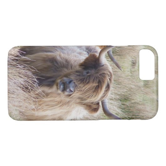 Coques Case-Mate iPhone Vache écossaise des Highlands (Dos (Horizontal))