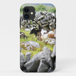 Coque iPhone 11 Vaches Moo