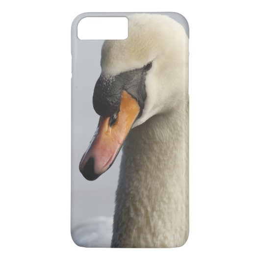 Coques Case-Mate iPhone Vancouver, Stanley Park, Mute Swan (Cygnus olor) (Dos)