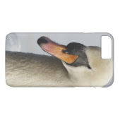 Coques Case-Mate iPhone Vancouver, Stanley Park, Mute Swan (Cygnus olor) (Dos (Horizontal))