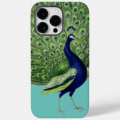 Coques Case-Mate iPhone Ventilateur Open Peacock (Verso)