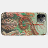 Coques Case-Mate iPhone Vers, Annélides Chaetopoda par Ernst Haeckel (Dos (Horizontal))