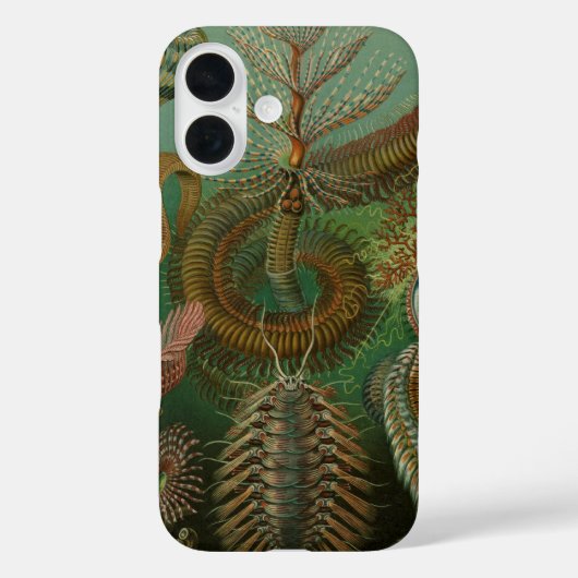 Coques Case-Mate iPhone Vers Annélides Chaetopoda vintage par Ernst Haecke (Verso)
