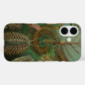 Coques Case-Mate iPhone Vers Annélides Chaetopoda vintage par Ernst Haecke (Verso (horizontal))