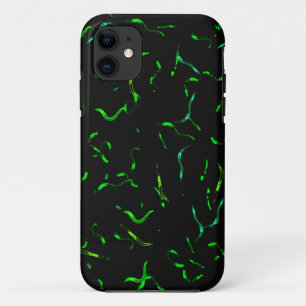 Coque iPhone 11 vers de gfp