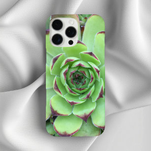 Coques iPhone 16 Pro Max Vert avec pourpre Conseils Succulent Gros plan Pho