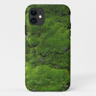 Etui iPhone Case-Mate Vert de mousse