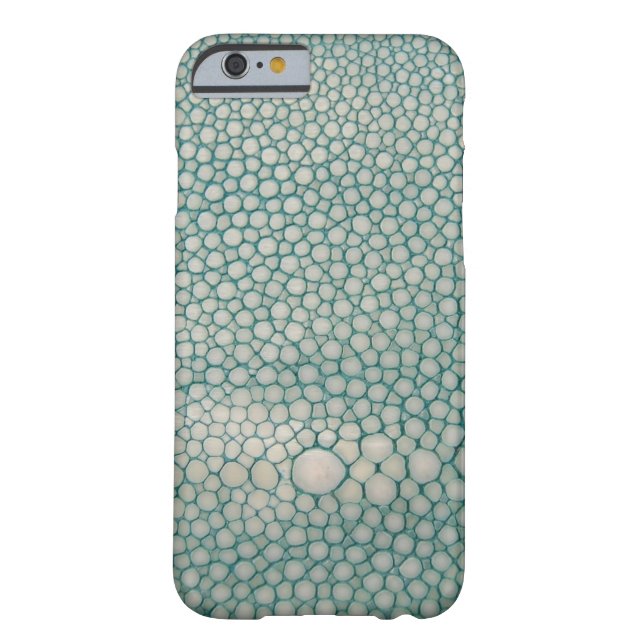 Coques Case-Mate iPhone Vert de Shagreen Seafoam (Dos)