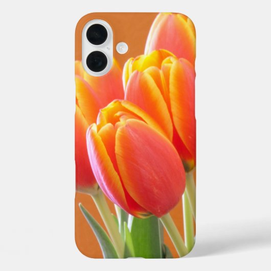 Coques Case-Mate iPhone Vibrant Orange Tulip Photographie (Verso)