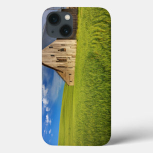 Etui iPhone 13 Vieille grange dans un champ de blé de printemps
