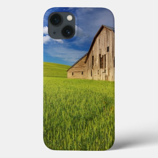 Coques Case-Mate iPhone Vieille grange dans un champ de blé de printemps (Verso)