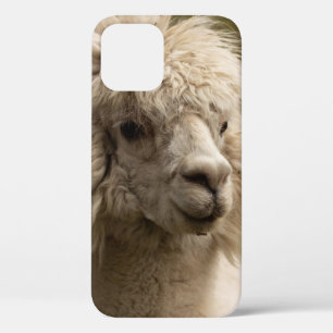 Case-Mate iPhone CASE VIENNA WIEN ÖSTERREICH AUTRICHE ALPAKA LAMA ANIMAL