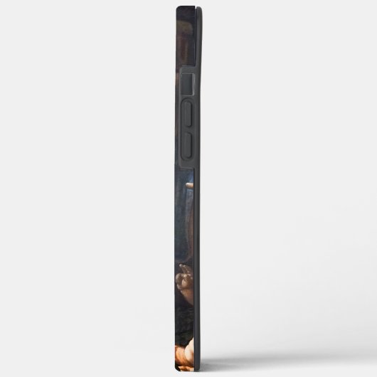 Coques Case-Mate iPhone Vierge Des Rochers (Verso / Gauche)