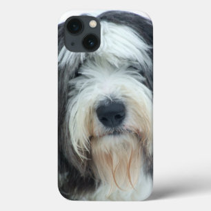 Case-Mate iPhone Case Vieux cas anglais de l'iPhone 6 de chien de berger