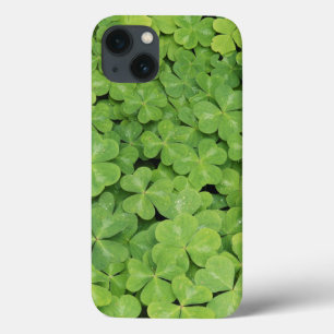 iPhone 13 Case View of Oxalis Oregana wood Sorrel Foliage