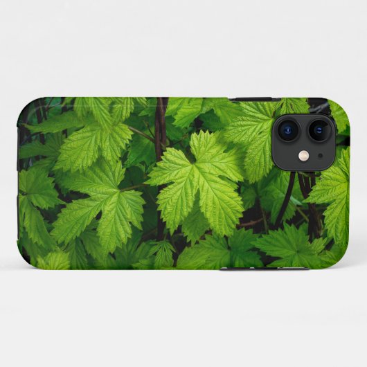 Coques Case-Mate iPhone Vignes vertes beauté naturelle (Dos (Horizontal))