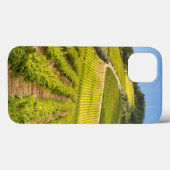 Coques Case-Mate iPhone Vignoble, Stellenbosch, Western Cape (Verso (horizontal))