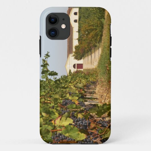 Coques Case-Mate iPhone Vignobles, vignes de petit verdot et la cave dans (Dos)