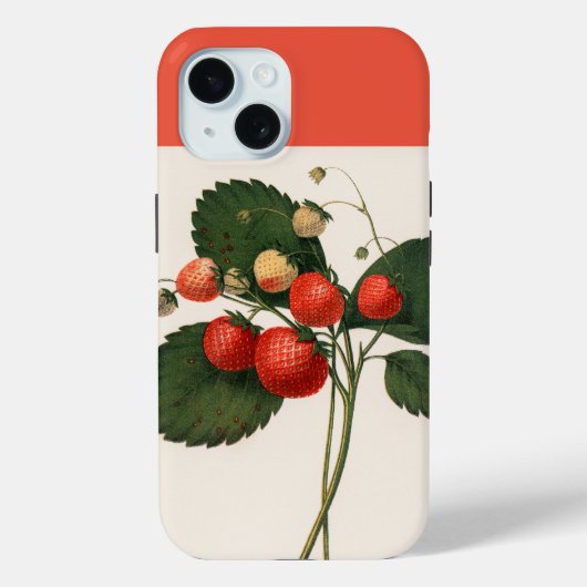 Coques Case-Mate iPhone Vintage Boston Pine Strawberry (Verso)