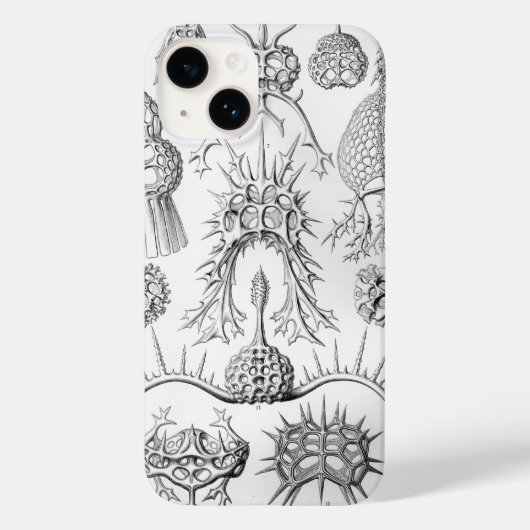 Coques Case-Mate iPhone Vintage Haeckel (Verso)
