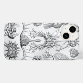 Coques Case-Mate iPhone Vintage Haeckel (Verso (horizontal))