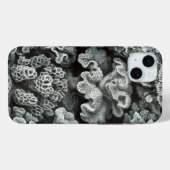 Coques Case-Mate iPhone Vintage Haeckel (Verso (horizontal))