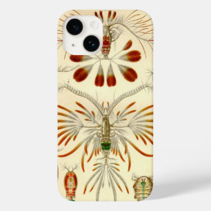 Coque Pour iPhone 14 Vintage Haeckel