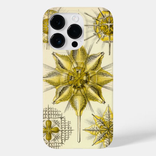 Coques Case-Mate iPhone Vintage Haeckel (Verso)