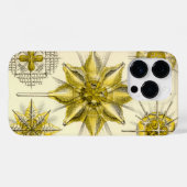 Coques Case-Mate iPhone Vintage Haeckel (Verso (horizontal))