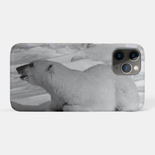 Case-Mate iPhone Case Vintage Ours polaire de l'Alaska