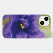Coques Case-Mate iPhone Violet bleu africain Saintpaulia (Verso (horizontal))
