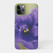 Coques Case-Mate iPhone Violet bleu africain Saintpaulia (Dos)