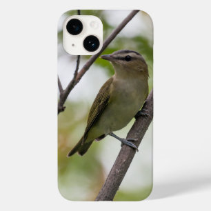 Coque Pour iPhone 14 Vireo à l'oeil rouge Photographie d'oiseau vert