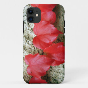 Coque Case-Mate Pour iPhone Virginia Creeper Leaves iPhone SE+5/5s Case