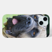 Coques Case-Mate iPhone Visage Bullmastiff (Verso (horizontal))