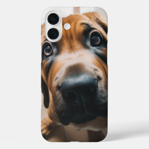 Coques iPhone 16 Plus Visage de chien