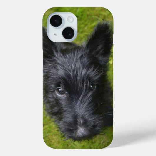 Coques Case-Mate iPhone Visage de chiot Scottie mignon (Verso)