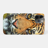 Coques Case-Mate iPhone Visage de tigre sauvage (Dos (Horizontal))