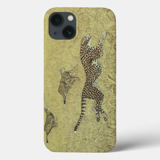 Coques Case-Mate iPhone Vitesse pure (Verso)
