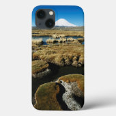 Coques Case-Mate iPhone Volcan de Payachalas (Verso)