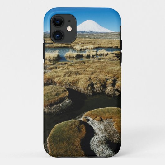 Coques Case-Mate iPhone Volcans Payachalas (Dos)