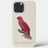 Coques Case-Mate iPhone Vosmaer Eclectus Parrot, Eclectus Roratus Vosmaeri (Verso)
