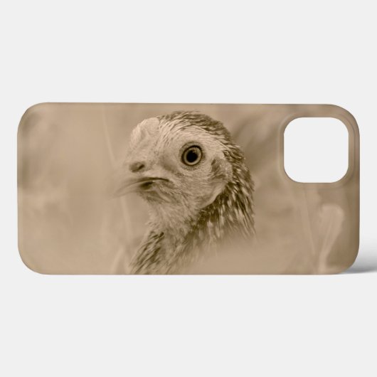 Coques Case-Mate iPhone Vue à vol d'oiseau (Verso (horizontal))