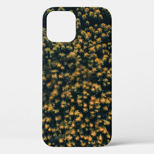 Coques Case-Mate iPhone Vue aérienne des arbres (Verso)