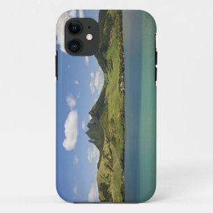 Coque iPhone 11 Vue aérienne du Lion Mountain, sud-est