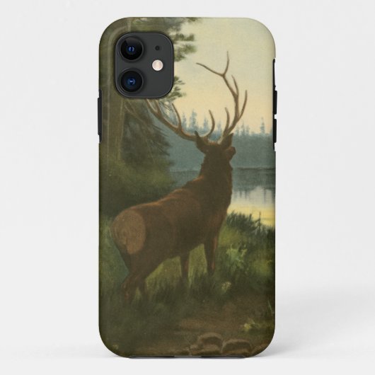 Coques Case-Mate iPhone Vue arrière des élans regardant au-dessus d'un lac (Dos)