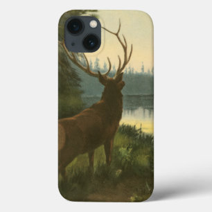 iPhone 13 Coque Vue arrière du lac Elk Vue sur un lac
