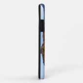 Coques Case-Mate iPhone Vue d'automne des gorges de Linville (Dos/Droite)