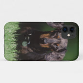Coques Case-Mate iPhone Vue de Dachshund couleur panaché (Dos (Horizontal))